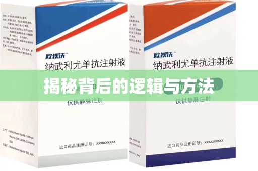 周口揭秘背后的逻辑与方法